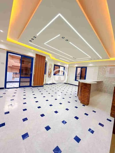 شقة 2 غرفة نوم للبيع في النخيل، الإسكندرية - 1000514447. jpg شقة 2 غرفة نوم للبيع في النخيل، الإسكندرية - 1000514447. jpg