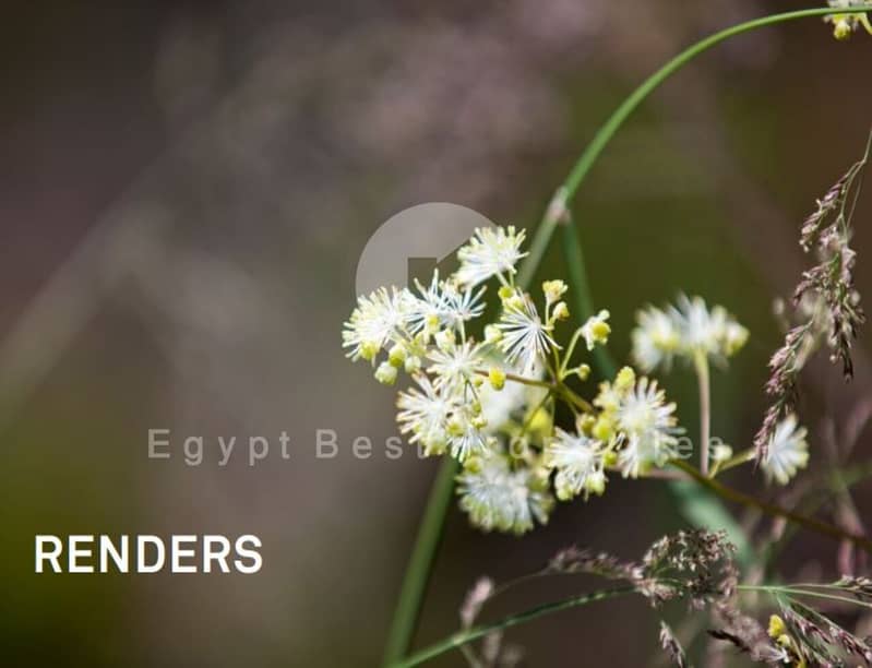 14 IMG-20240909-WA0102. jpg