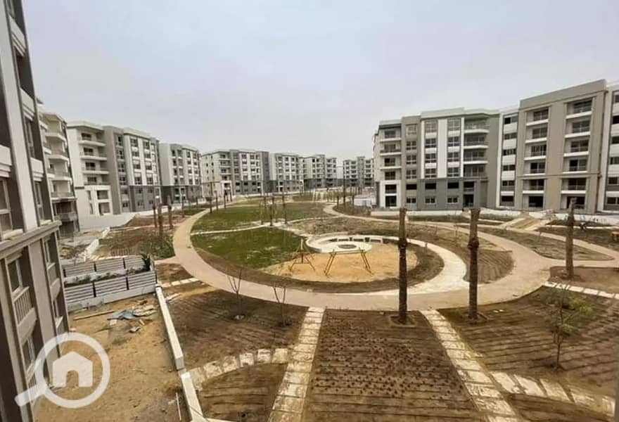 2 4188125-8d33fo. jpg