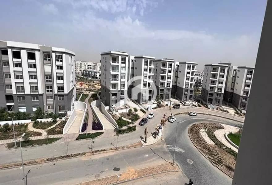 7 4344395-fe1b9o. jpg