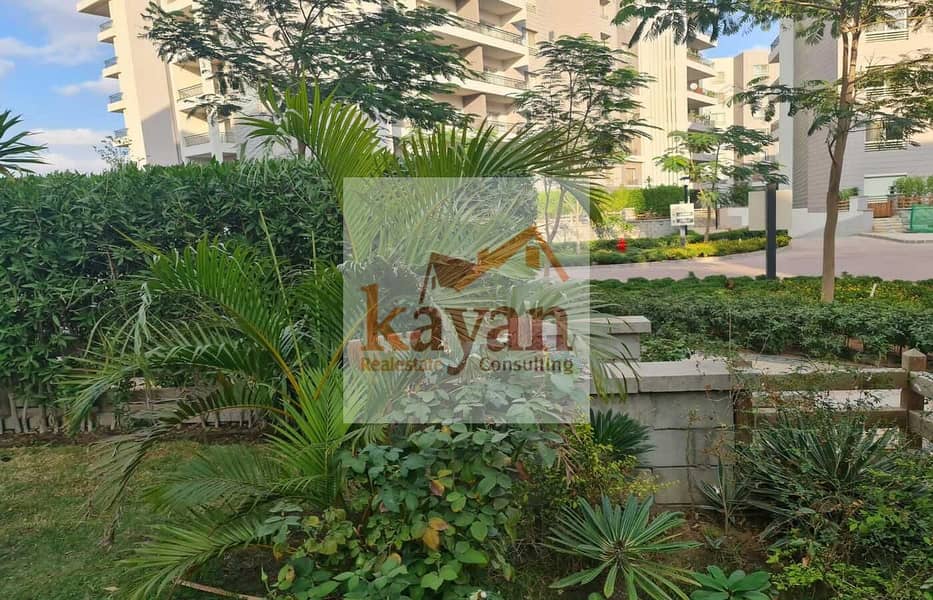 11 WhatsApp Image 2026-01-18 at 11.49. 53. jpeg