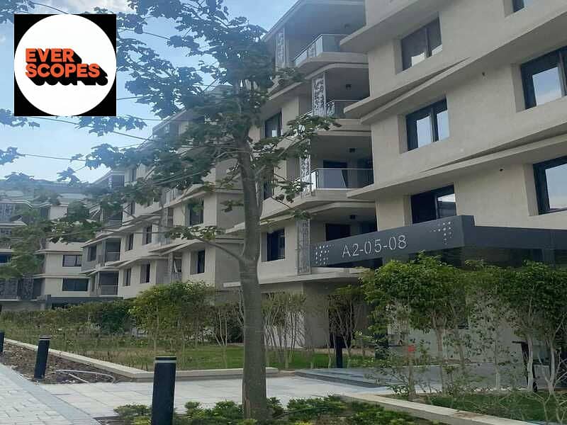 11 418275096_3985903394970470_1645860145297935890_n. jpg