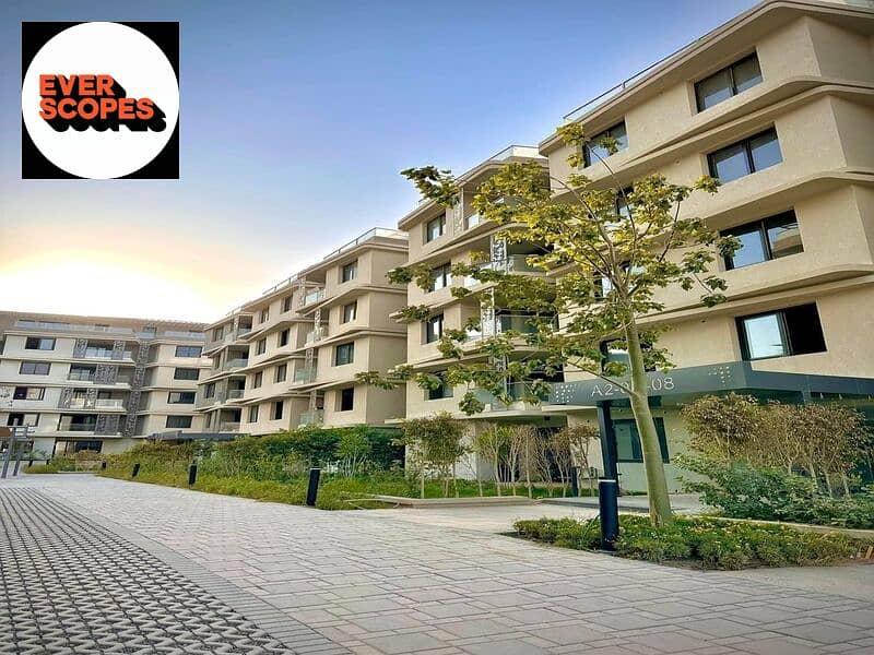 13 419817761_925844515865257_6525854051990653942_n. jpg