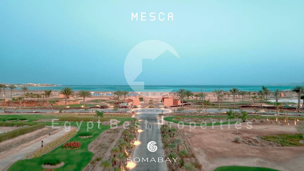 8 IMG-20260119-WA0022. jpg