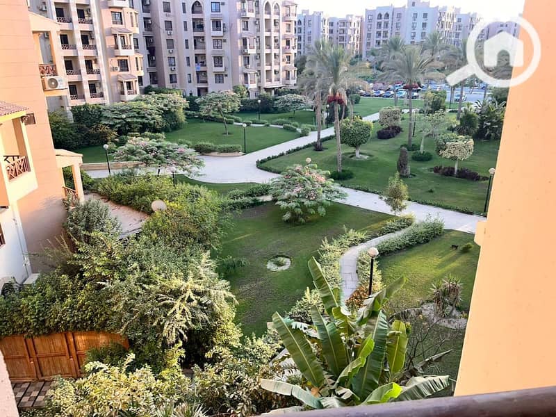 11 b162ac7e-e150-4545-9af4-254a9312bb0b. jpeg