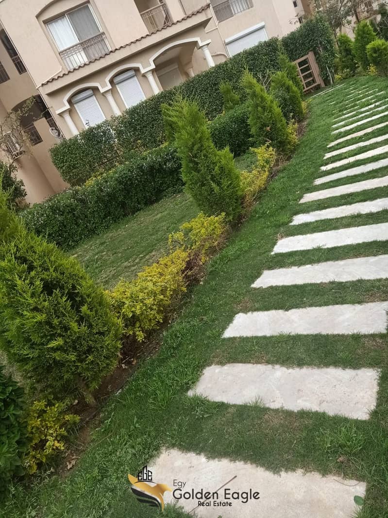 5 333d2188-4802-407a-8323-f4b70c8dfa2a. jpeg