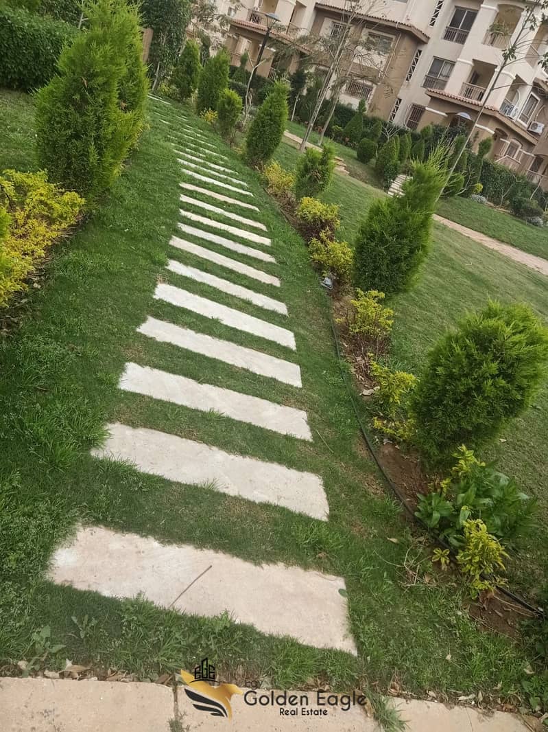 7 e0568c5c-afc8-42a2-a12f-efc42439dad5. jpeg