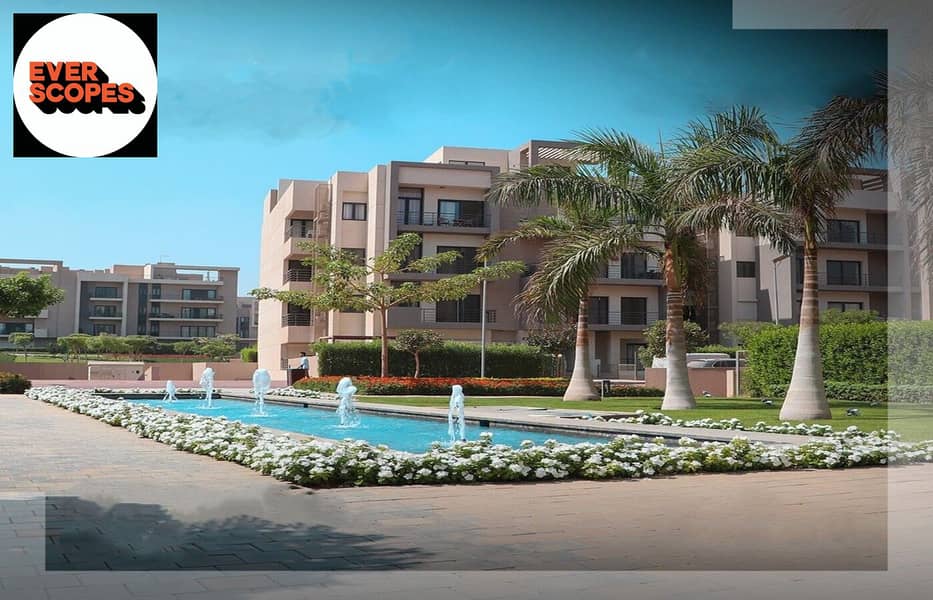 10 420203051_395695259987193_8776303156859967223_n. jpg