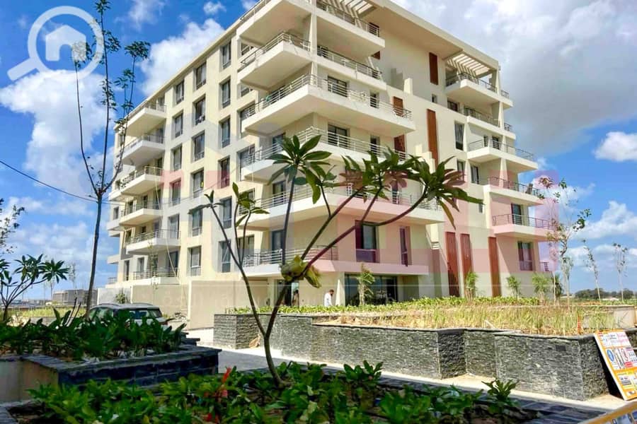 3 IMG-20250812-WA0025. jpg