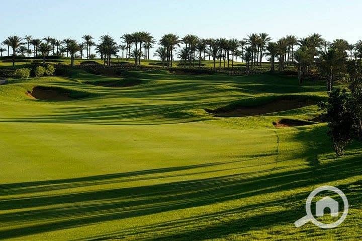 5 WhatsApp Image 2026-01-20 at 14.11. 21. jpeg