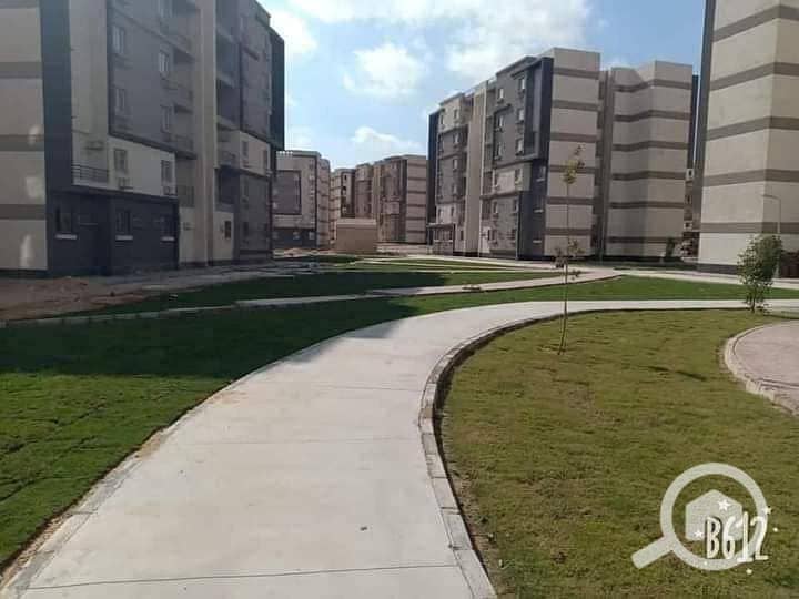 6 271669017_4096807037088562_2439739761929436701_n. jpg