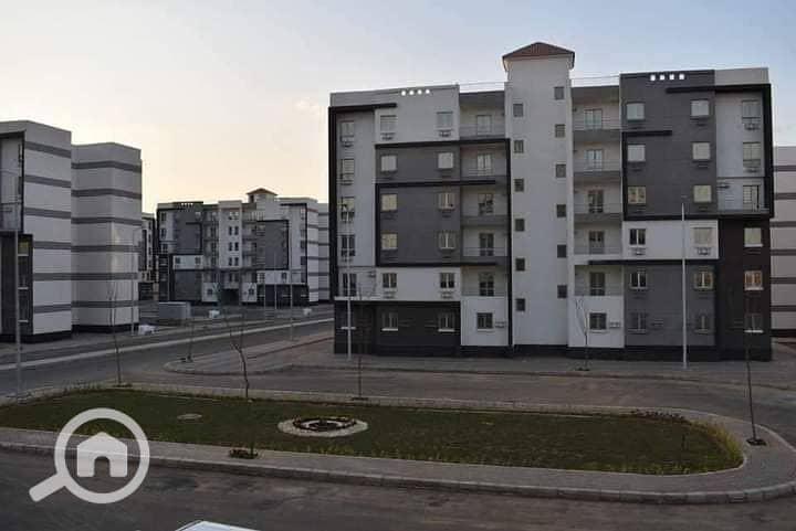 8 273044856_649641689625469_4893992189216845003_n. jpg