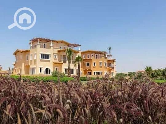 2 eda1bd5b-d998-11ef-8f88-da0644d61b13. jpg