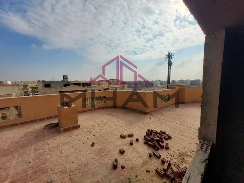 7 photo_6021701048902290278_y. jpg