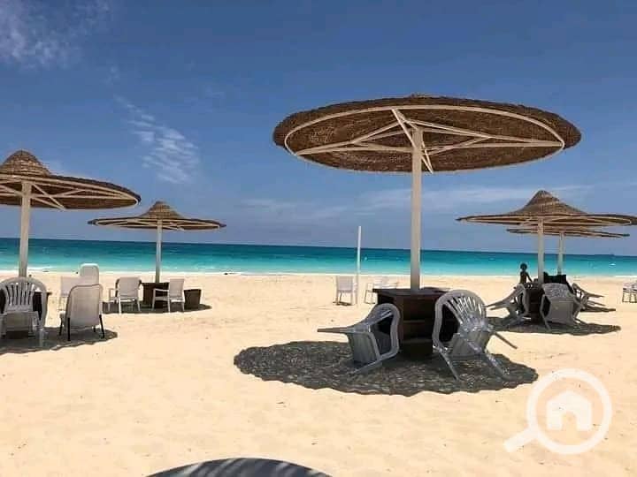 10 WhatsApp Image 2026-01-27 at 2.57. 37 PM (1). jpeg