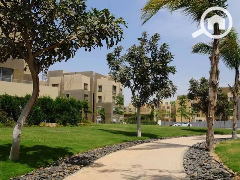 6 palm-park-1667480804. jpg