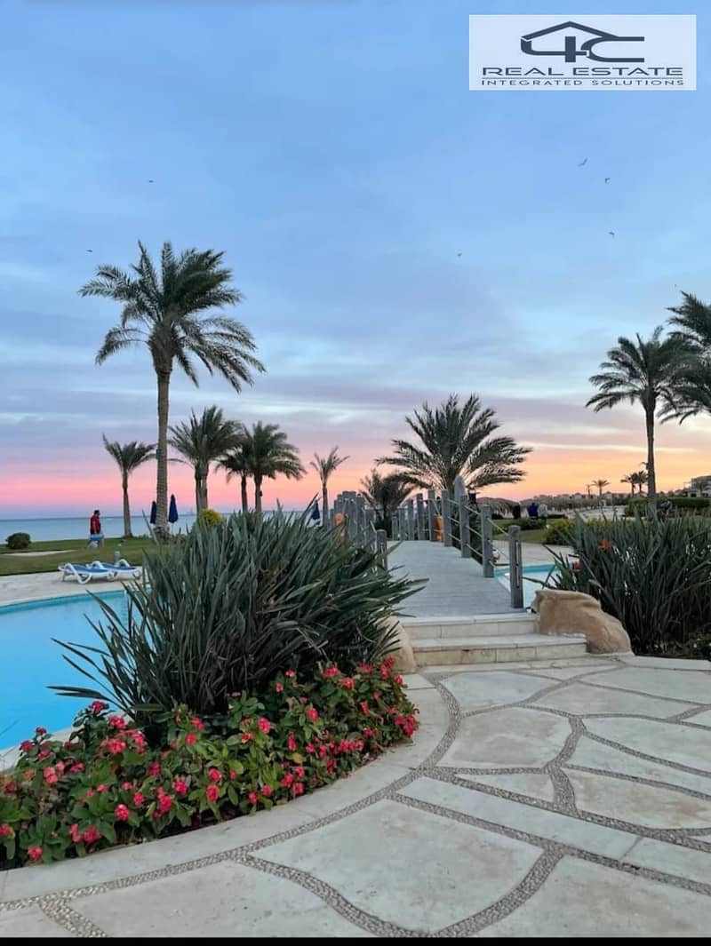 3 WhatsApp Image 2025-12-13 at 4.03. 31 PM (1). jpeg