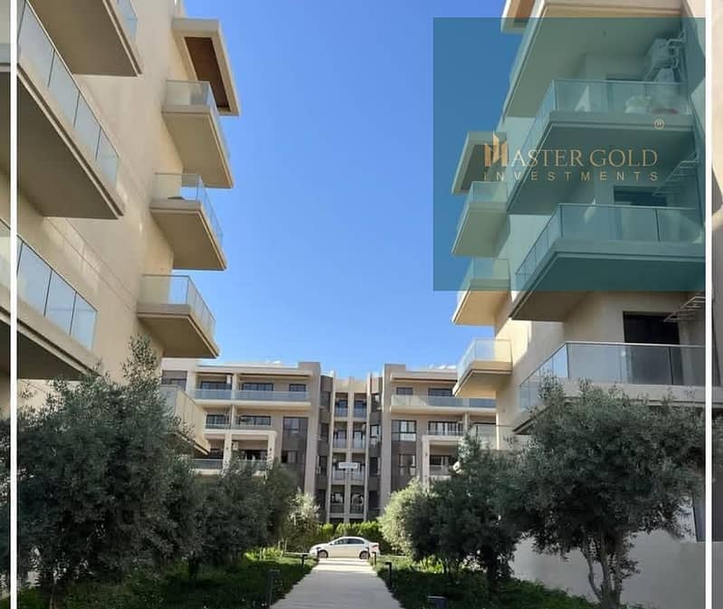 21 e8cf5ba2-135a-4d9b-af39-ee6947de2ea2 - Copy - Copy. jpeg