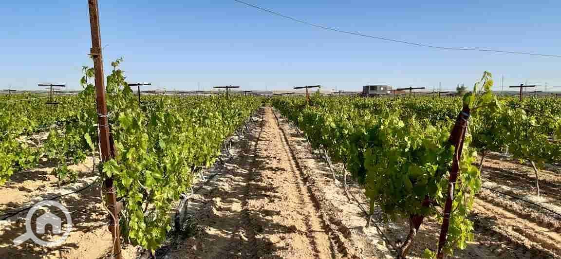 1000412386. jpg 1000412386. jpg