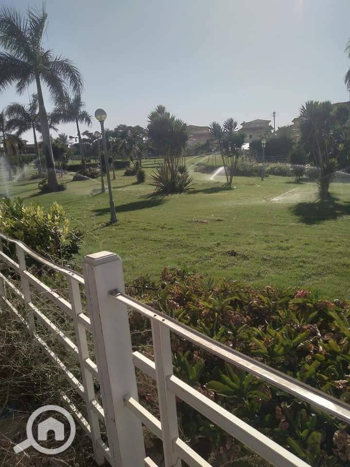 8 483840054_2149738625486582_5573182520445870629_n. jpg