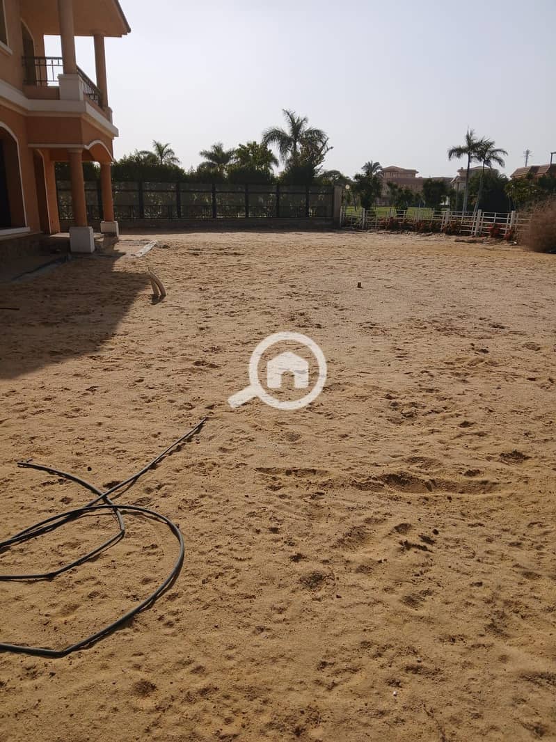 11 b90ba66a-3dae-4a5c-b402-6de2e6418ff4. jpg