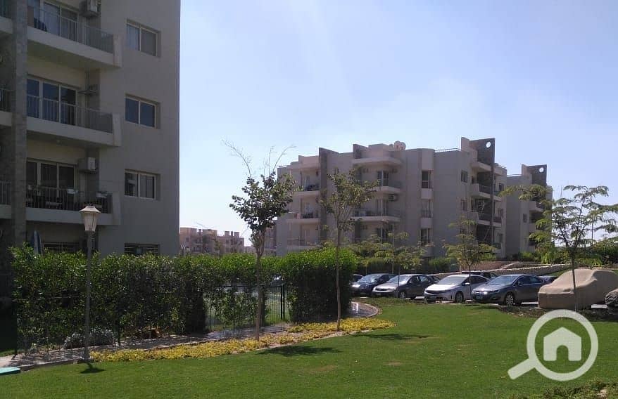 8 7a3976f7-63b2-4285-ba1f-79780a8dd7bc. jpg