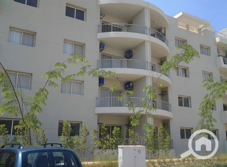 13 600d3dab-8438-4693-a242-75b426d8bdd1. jpg