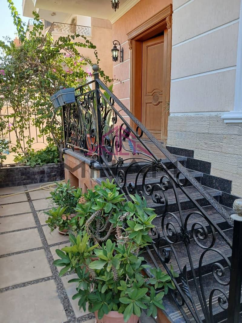 10 photo_6035164710518328505_y. jpg