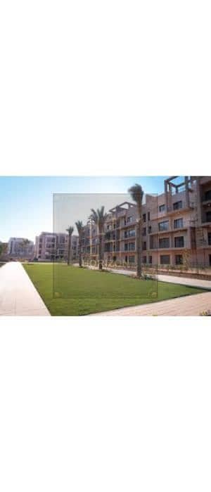 8 images (39). jfif. jpg