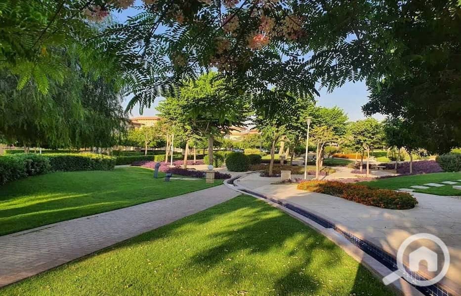 4 5669b6a9-36b5-4493-94f2-81fe108695f2. jpg