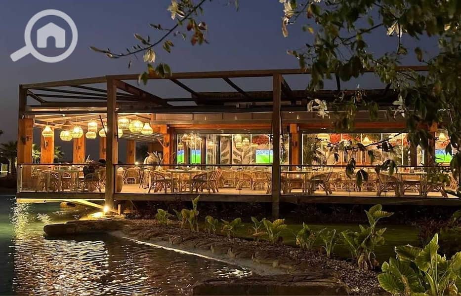 12 f7842544-ae91-406e-a113-f12f6cda74a5. jpg