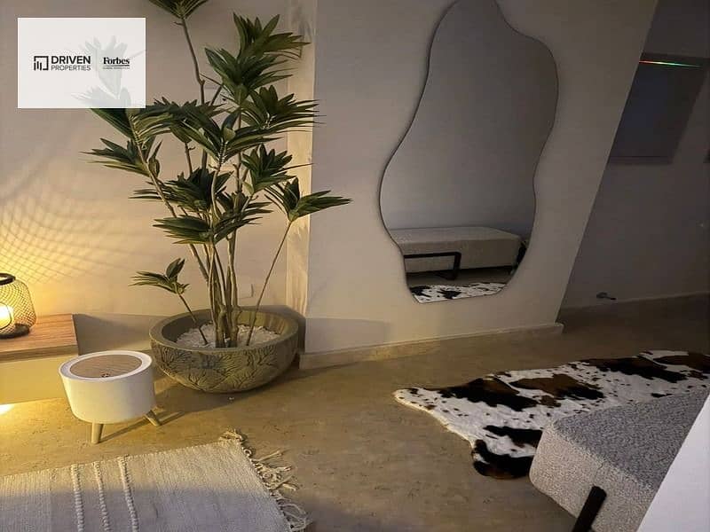 3 WhatsApp Image 2026-01-20 at 13.04. 39 (1). jpeg