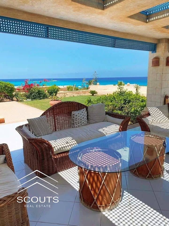 524541889_122274096524256121_6140031578647064175_n. jpg 524541889_122274096524256121_6140031578647064175_n. jpg