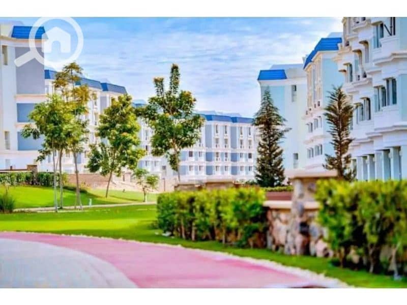 10 147f7787-4a95-45f4-b1b2-df70a02538b1. jpeg