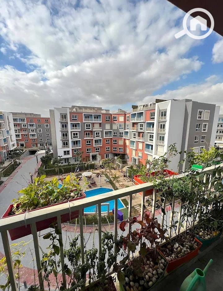 13 7282d3fa-d8f6-442a-9a4c-d672caef81ce. jpg