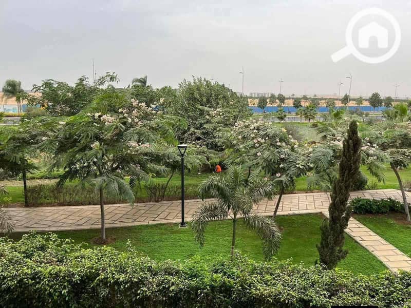 2 94e84977-ba79-4a2c-98e3-72693c4ab3ed. jpg