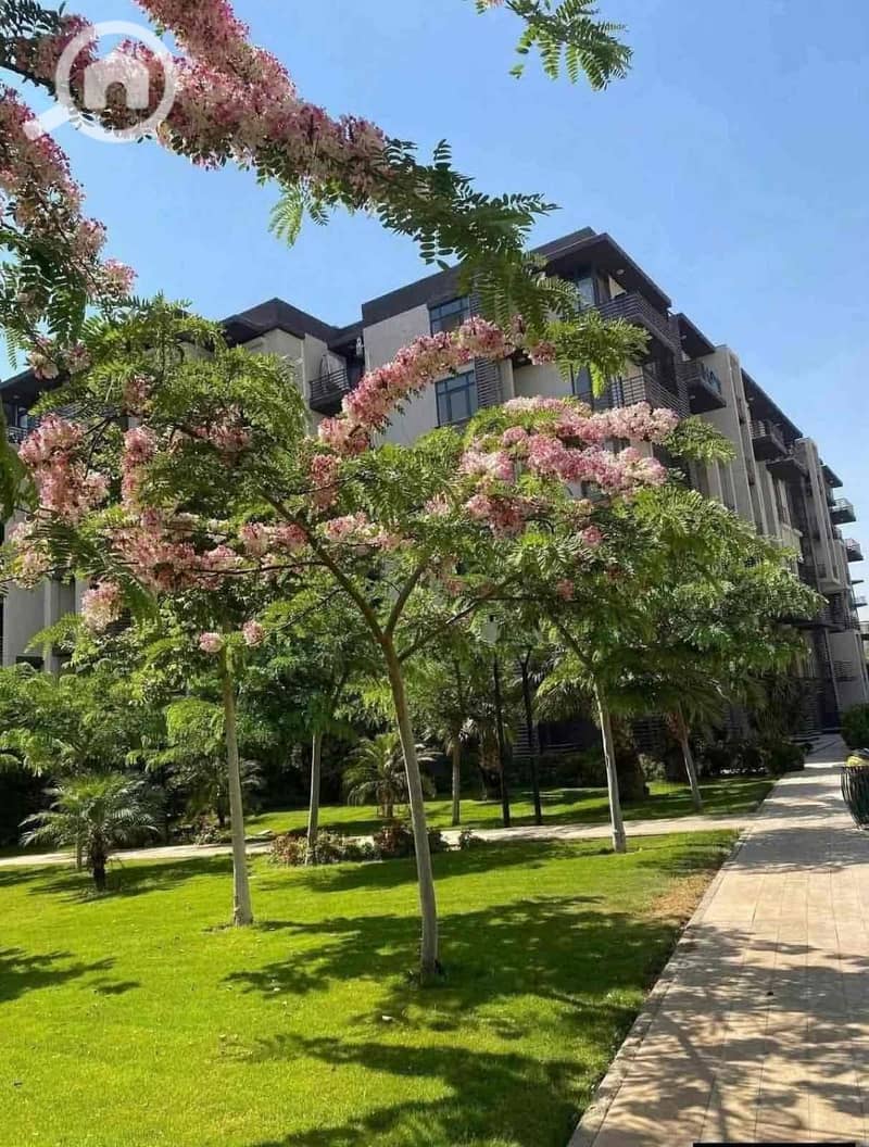 3 2ce1d9cb-885e-454d-aa53-8ff382d21875. jpg