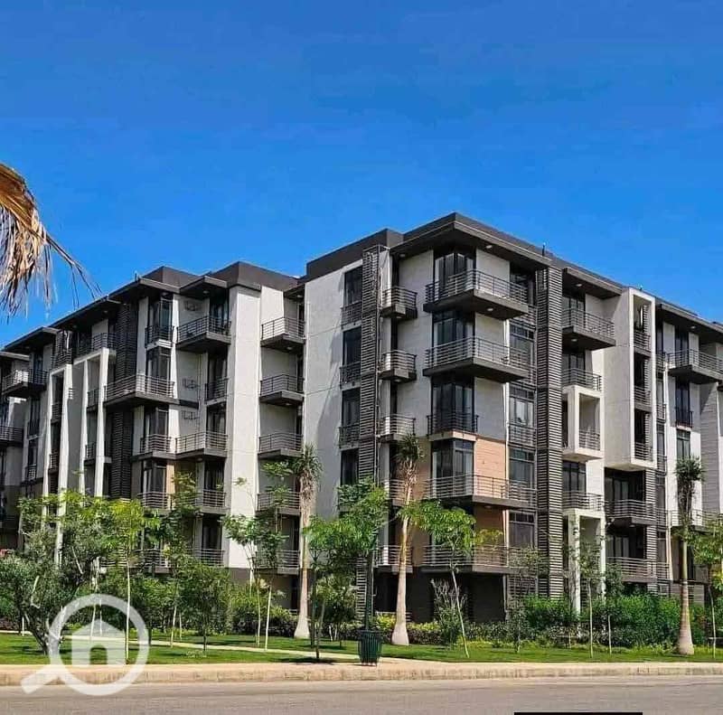 6 b2038369-1c9c-4137-9257-38e5c6ede129. jpg