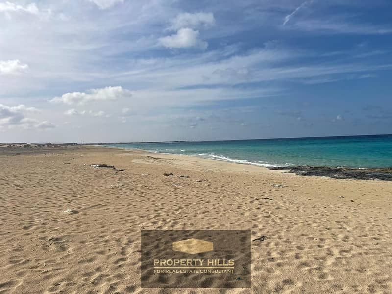 9 IMG-20250310-WA0123. jpg