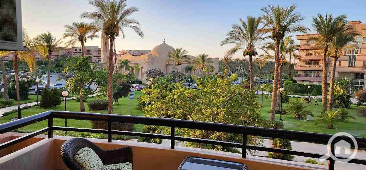 1000813903. jpg 1000813903. jpg