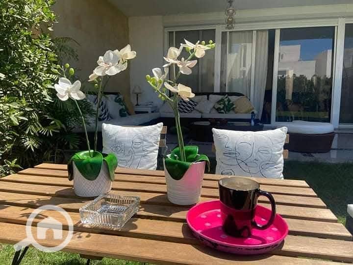 6 FB_IMG_1744837227580. jpg