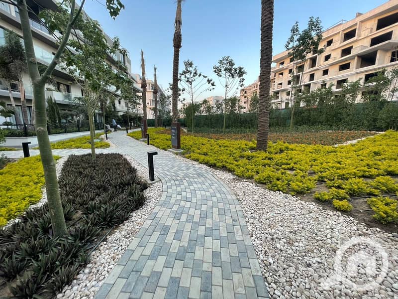 3 231d69f1-6621-4b34-b3ad-817c60348953. jpg