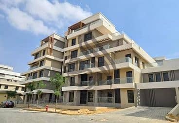 6 643e7d66811c9409961706 (1). png