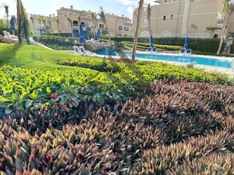 16 WhatsApp Image 2024-12-10 at 11.03. 58 AM. jpeg