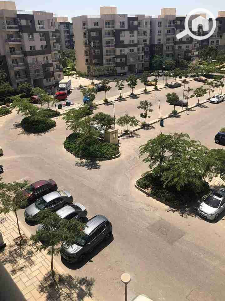 7 85a46c1d-4950-4ca1-b757-6e73fba61bed-1_all_10226. jpg