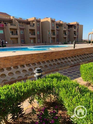 2 WhatsApp Image 2026-01-27 at 14.14. 34 (1). jpeg