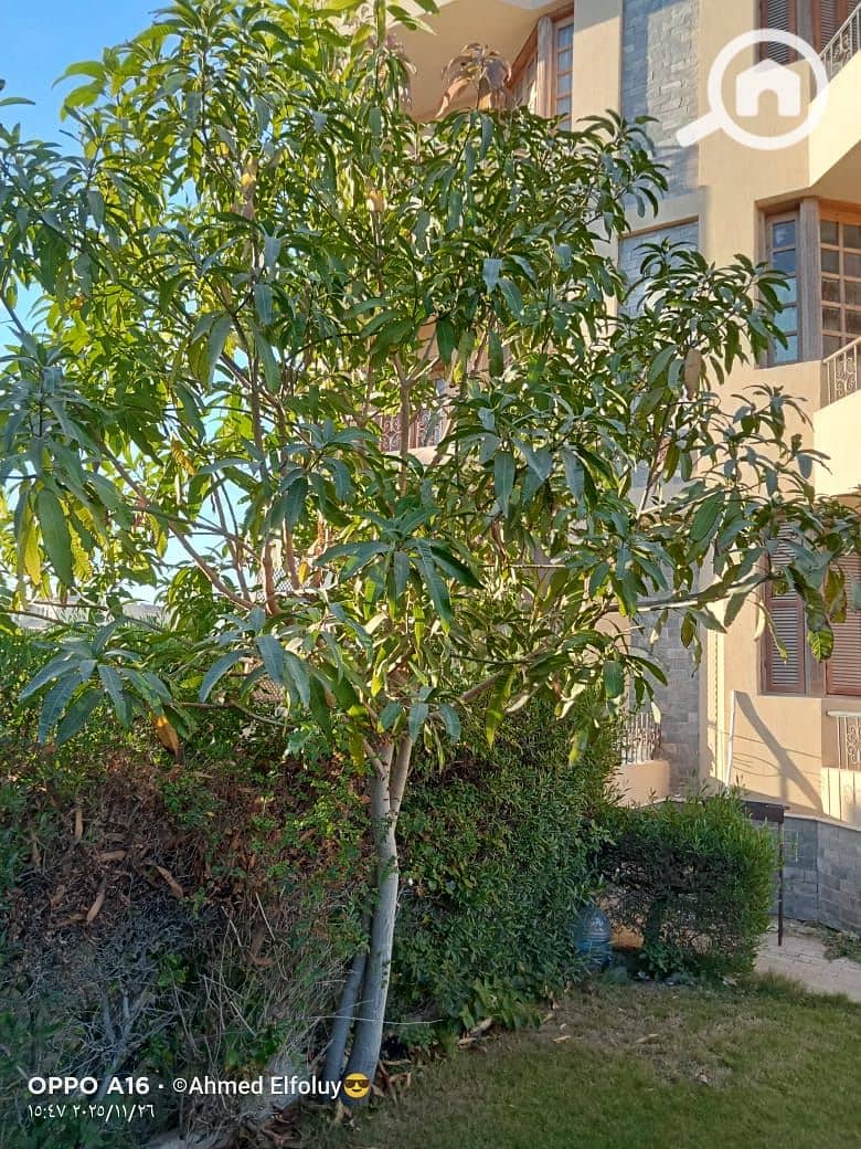 3 WhatsApp Image 2026-01-25 at 12.55. 32 (1). jpeg