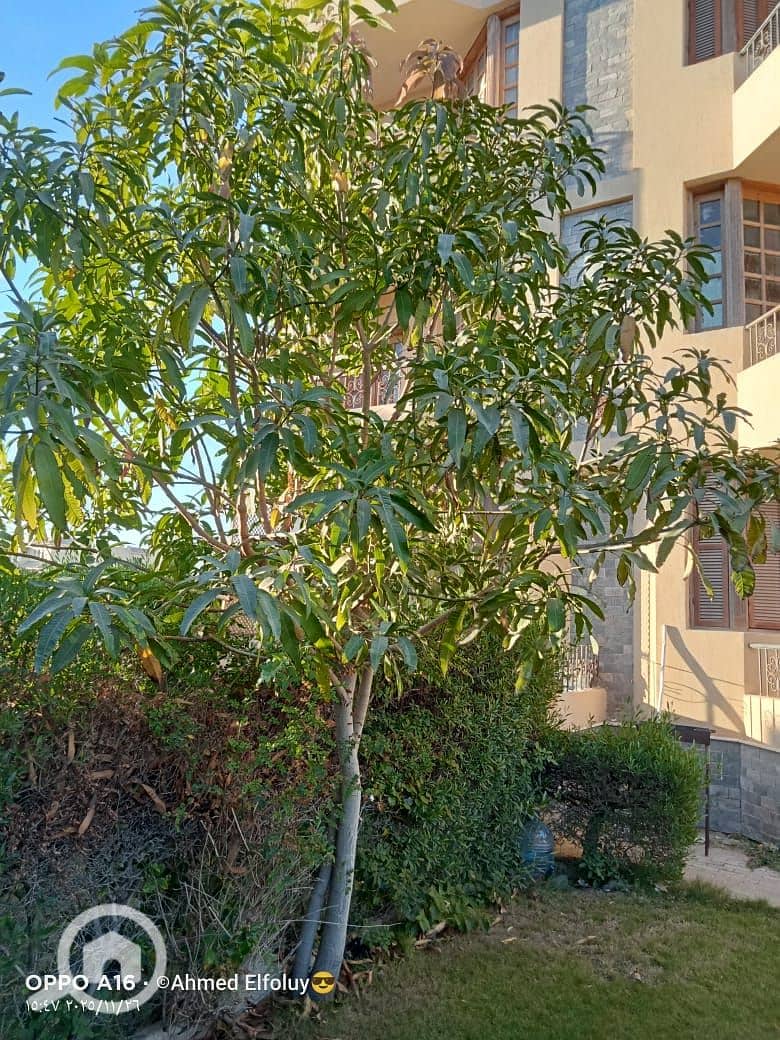 4 WhatsApp Image 2026-01-25 at 12.55. 32 (1). jpeg