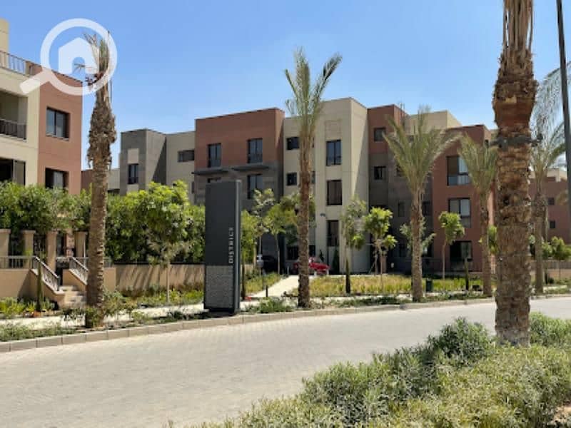 2 img_2023-11-19. jpg