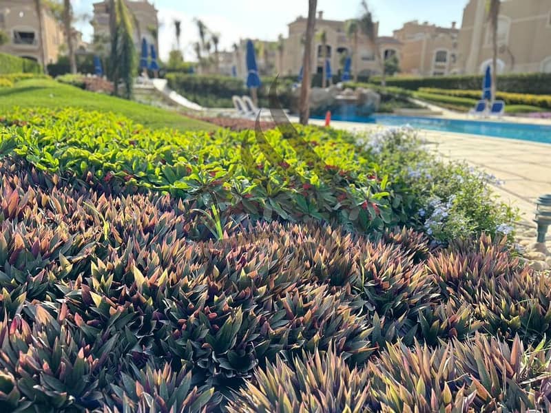 3 WhatsApp Image 2024-12-10 at 11.03. 58 AM (1). jpeg